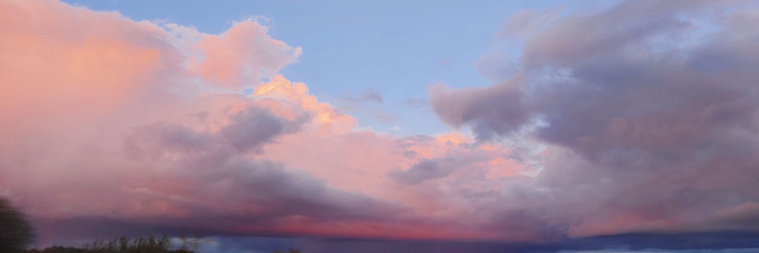 leaclvr's profile banner image