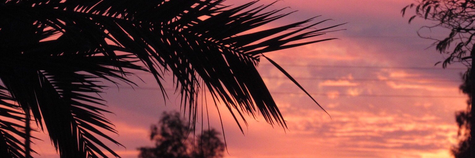 therealclaudia's profile banner image