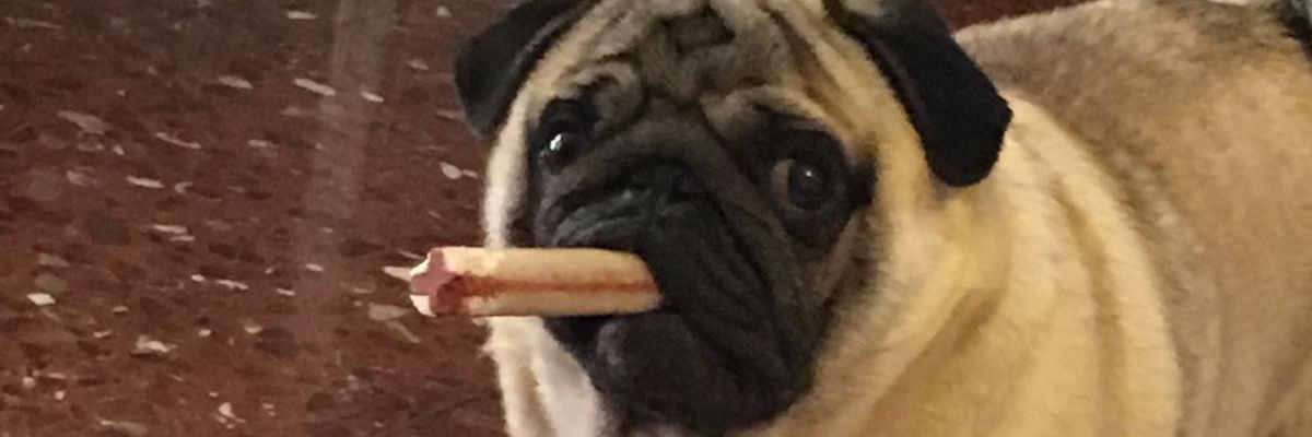 mgtsori's profile banner image