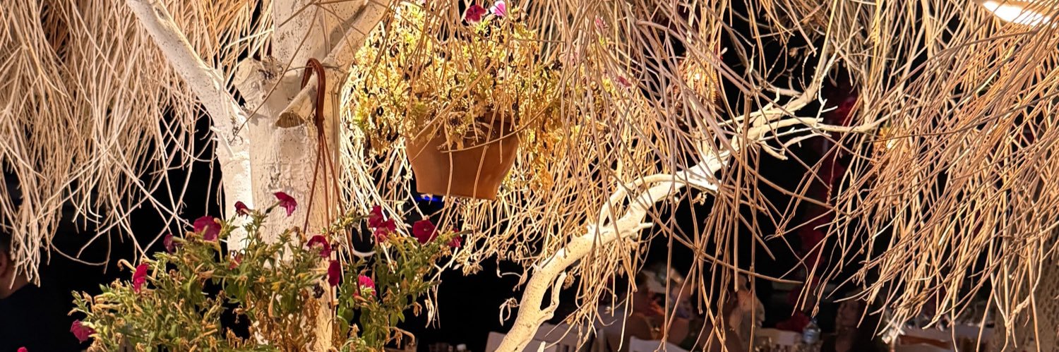 Sedannaaaa's profile banner image