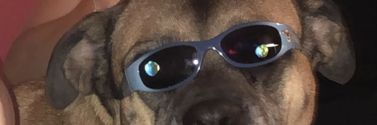 Nowadhaze's profile banner image