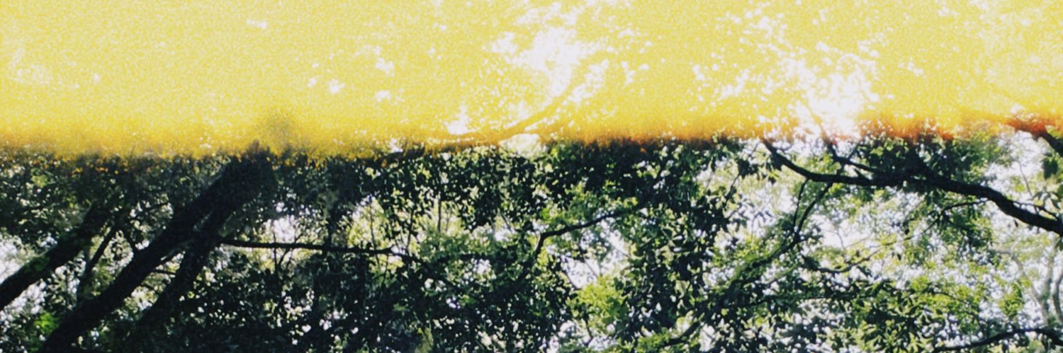 a_axf_n's profile banner image