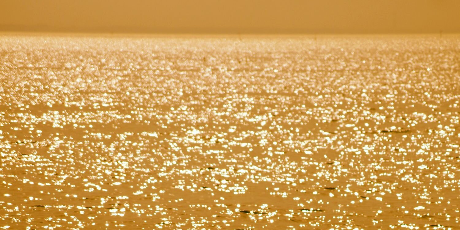 quaint_you's profile banner image