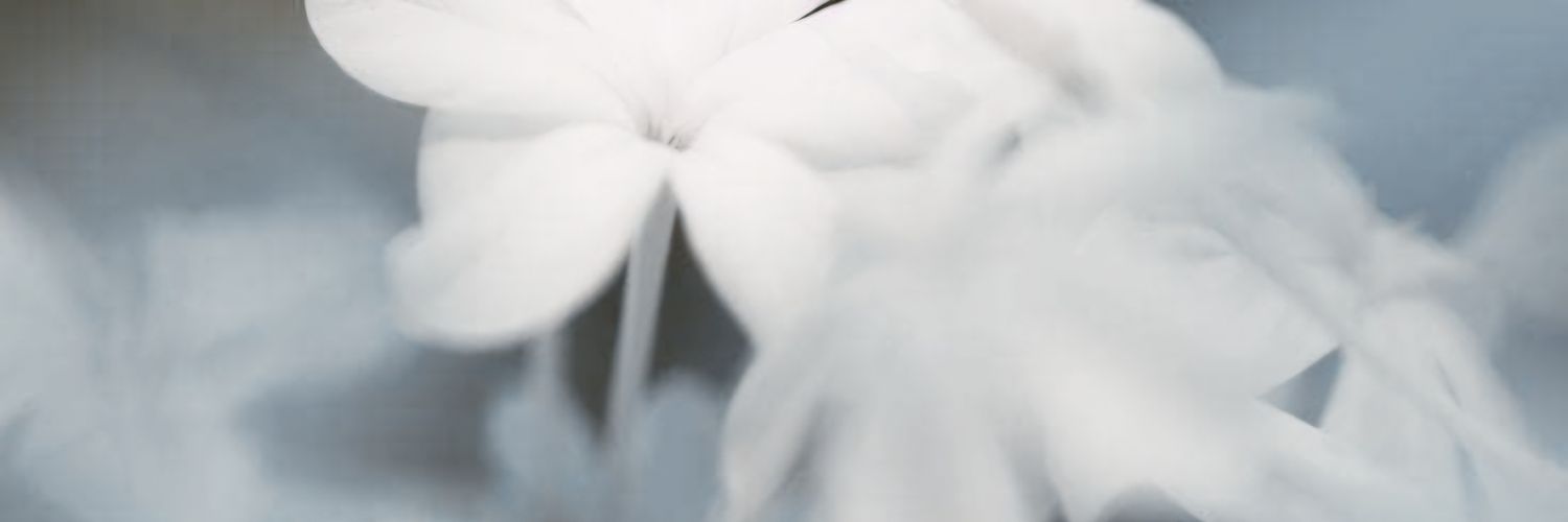 ♧ banner