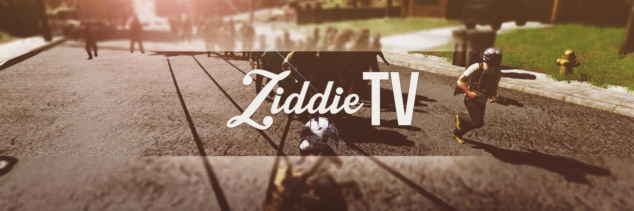 ZIDR0X's profile banner image
