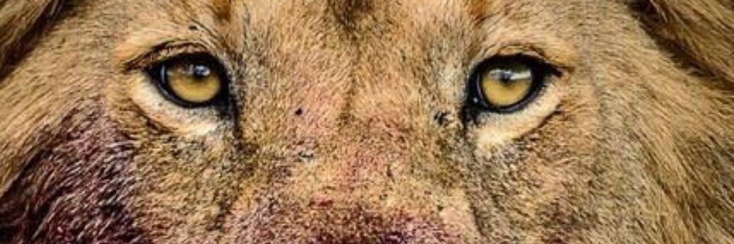 AlperSenguler's profile banner image