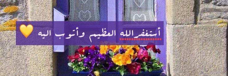 Mnss__8's profile banner image