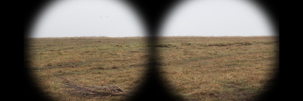 cicatrixart's profile banner image
