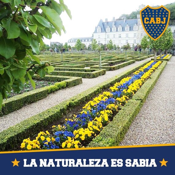 ExeDavalos's profile banner image
