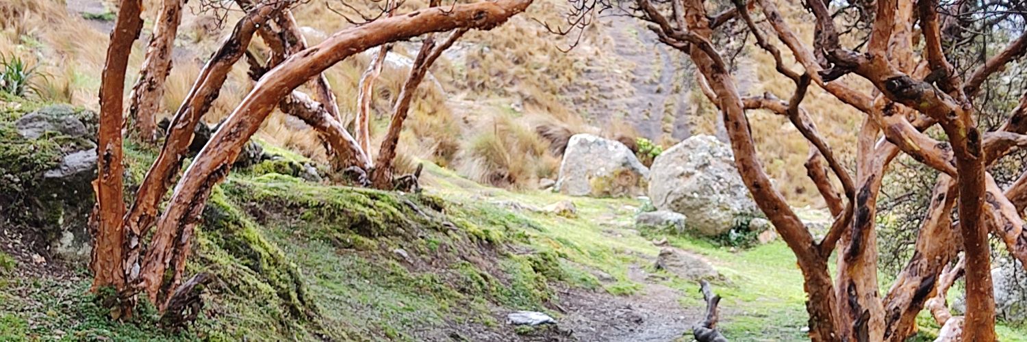 EmoxitaKelly's profile banner image