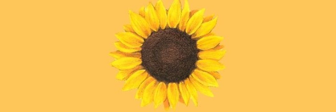 Ortegon_19's profile banner image
