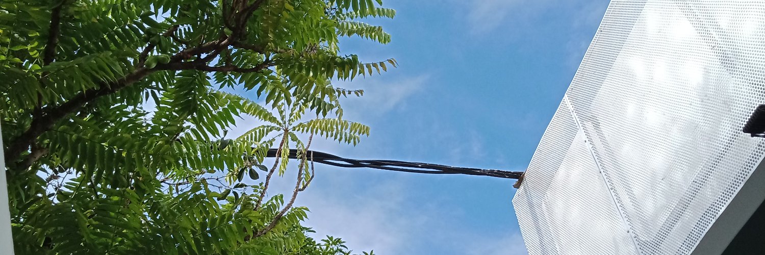 renyapri's profile banner image