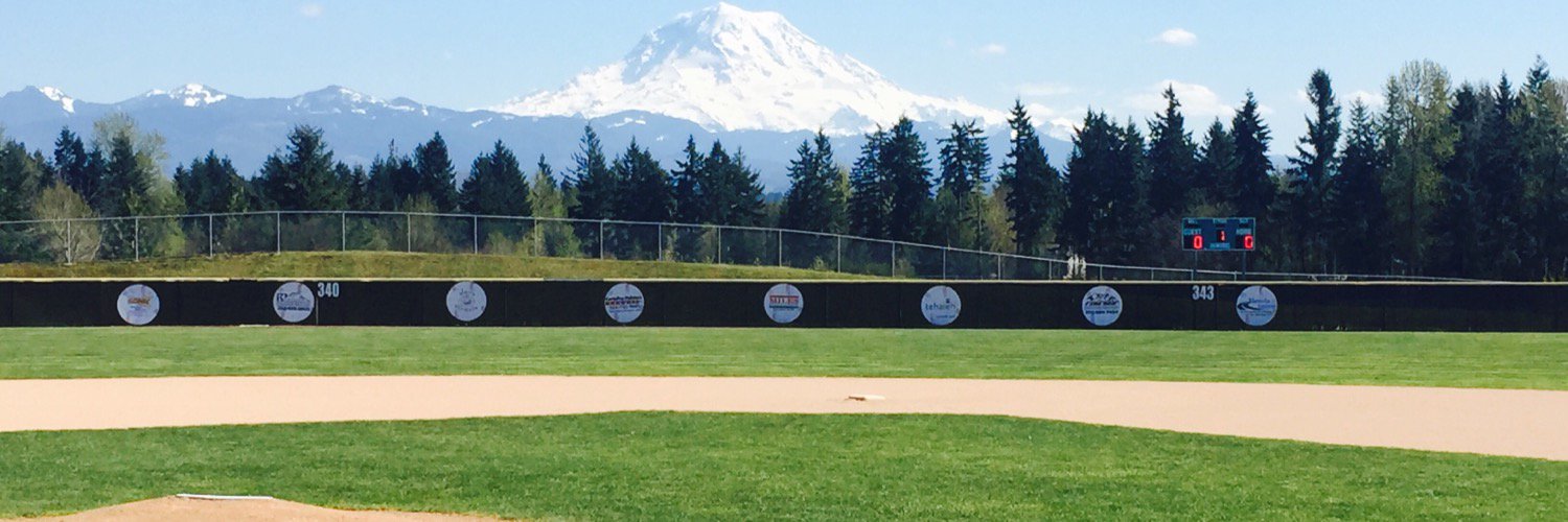 Bonney Lake Panthers Baseball banner