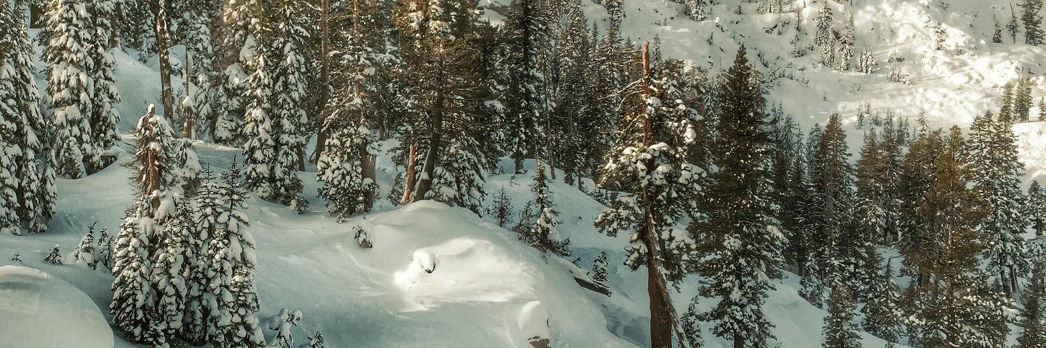 Ian Jaeger Krieg banner