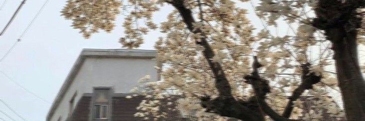 CaillyJustine's profile banner image