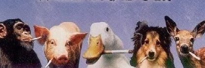therealcigman's profile banner image