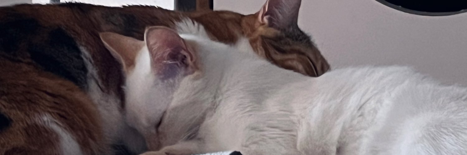 brndstch's profile banner image