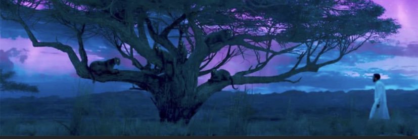 Shamirafla's profile banner image