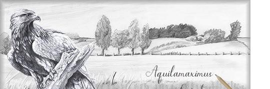 Mbujeau's profile banner image
