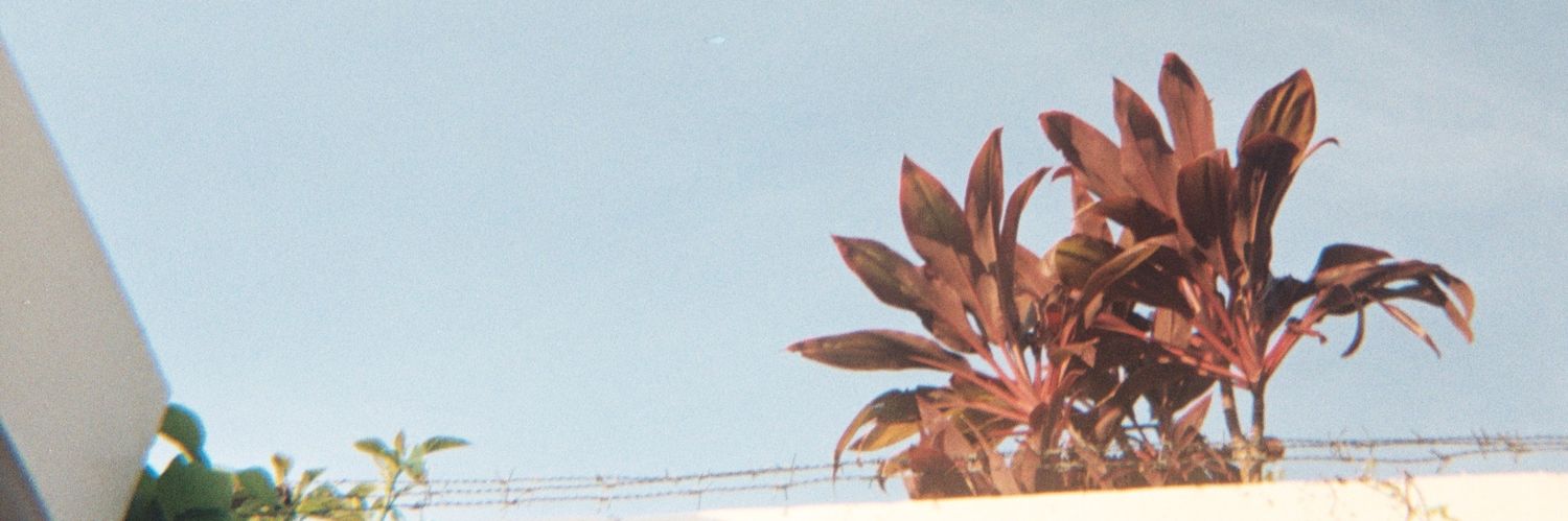problemafuturo's profile banner image