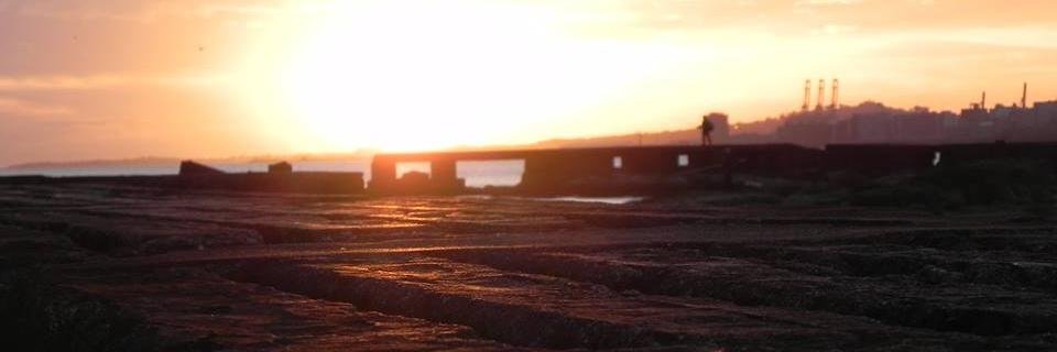Rosalía Souza banner