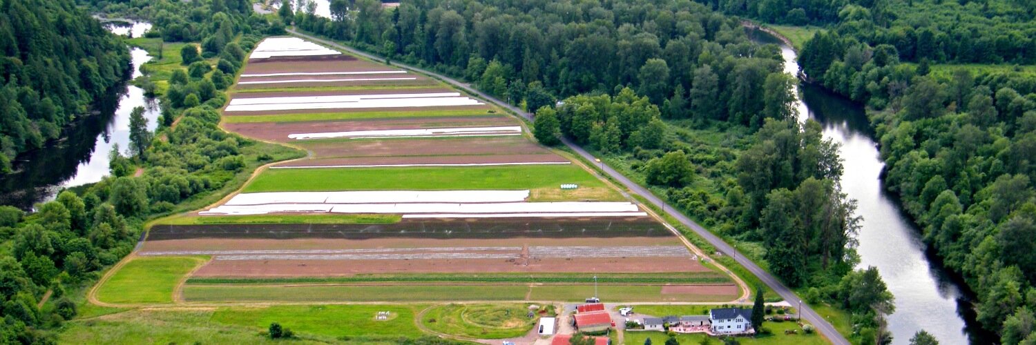 HelsingFarmCSA's profile banner image