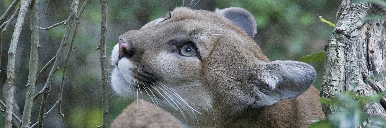Raquelgtr's profile banner image