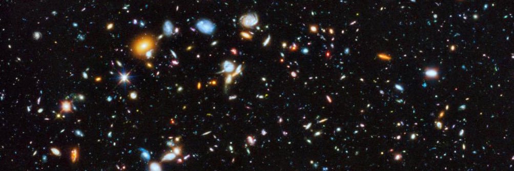 Peter M. O’Donnell banner