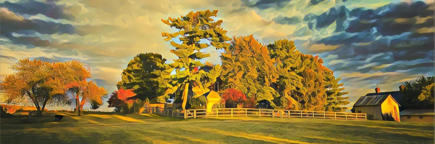 overtherhine's profile banner image