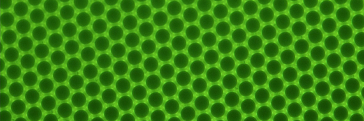 franzanasta's profile banner image