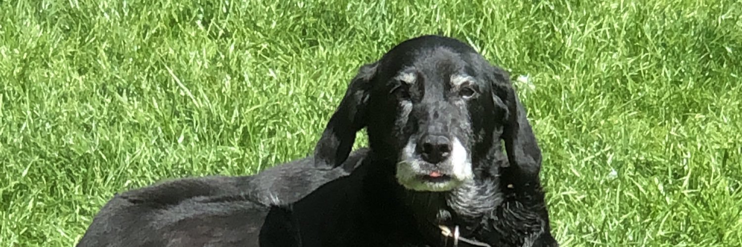JackGocher's profile banner image
