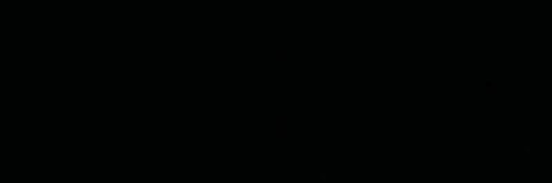 ellauugust's profile banner image