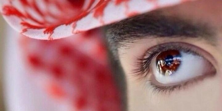 flad141786's profile banner image