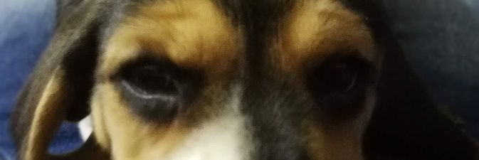 Imad Chavez ⚡ banner