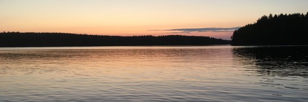 AriPntinen Profile Banner