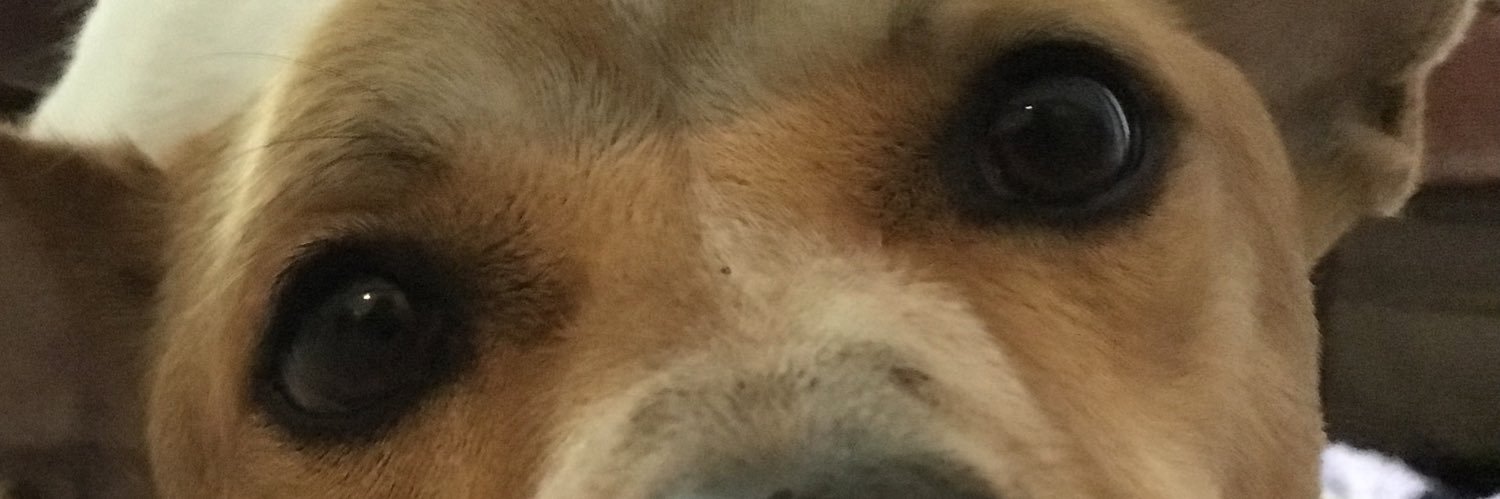 MatthewDKenney's profile banner image