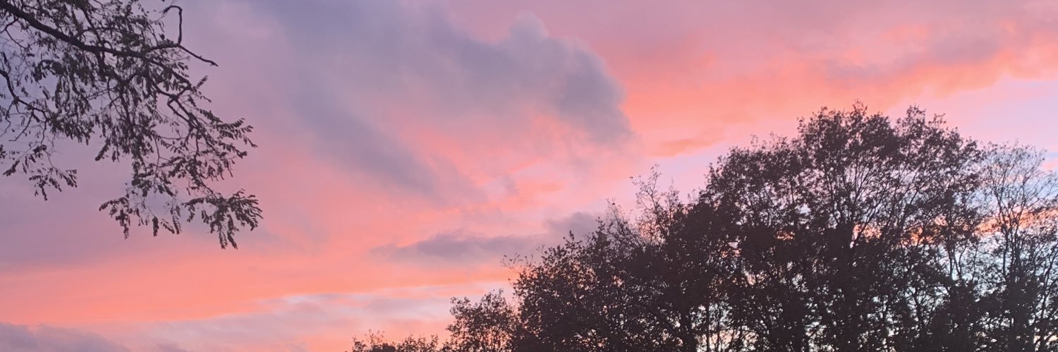 alexdoestv's profile banner image