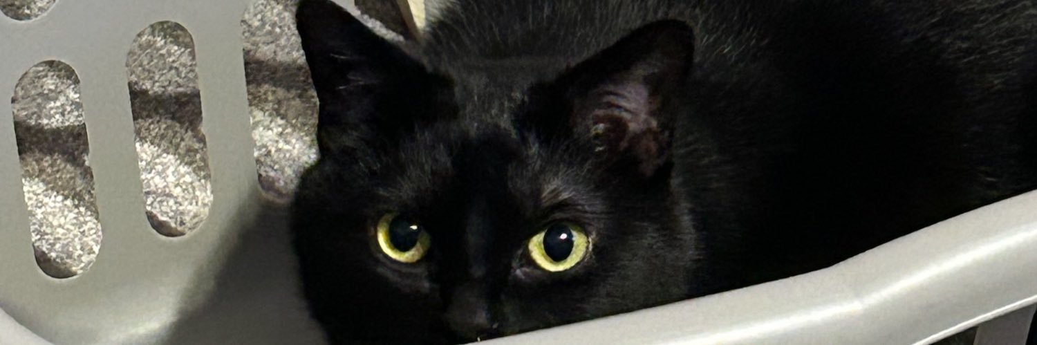 mickey_yoder's profile banner image