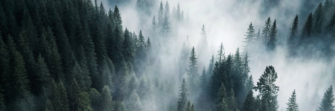 iamsilesto's profile banner image