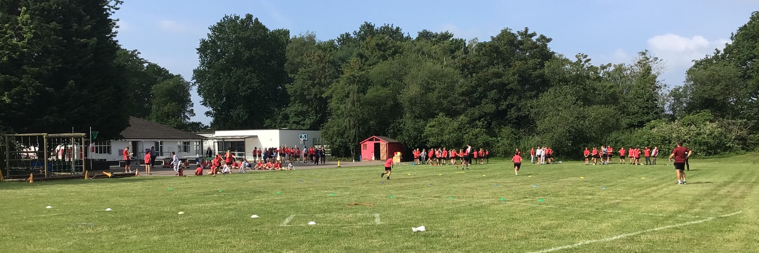 St Hugh of Lincoln banner