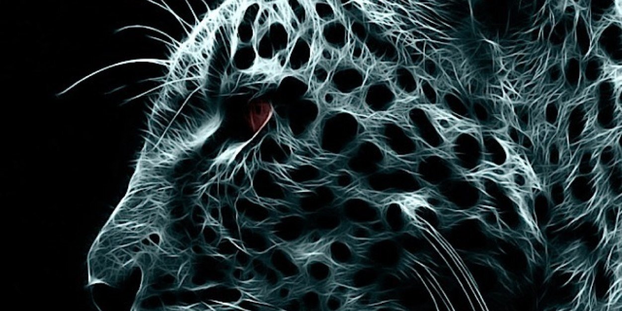 PappiBeats's profile banner image