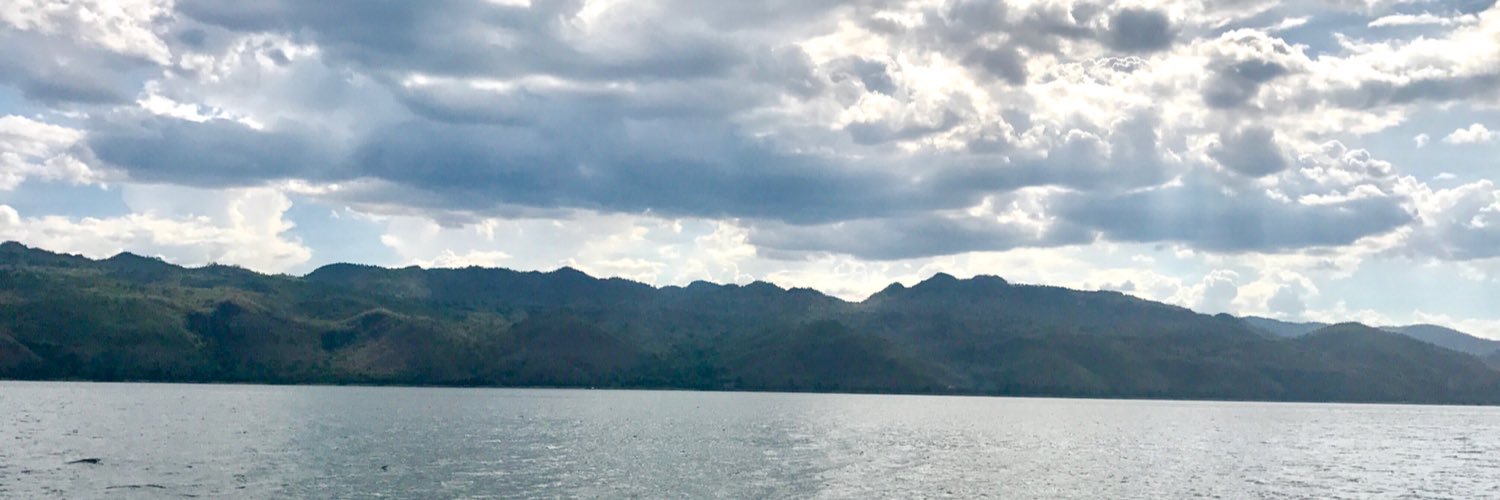 Porpraii's profile banner image
