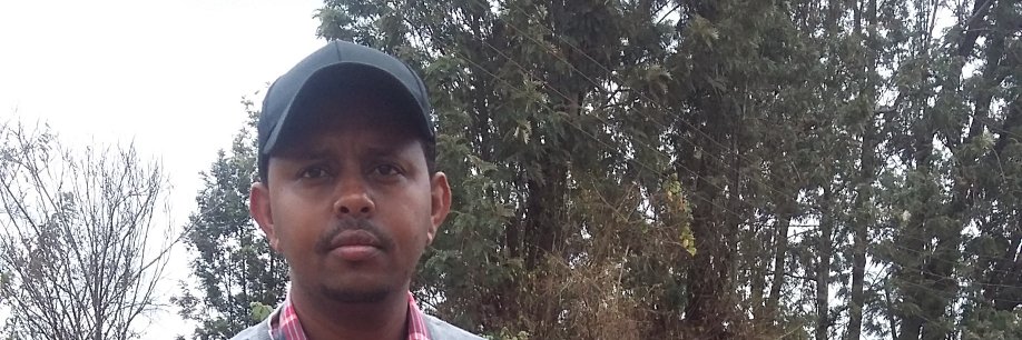 aly_molu's profile banner image