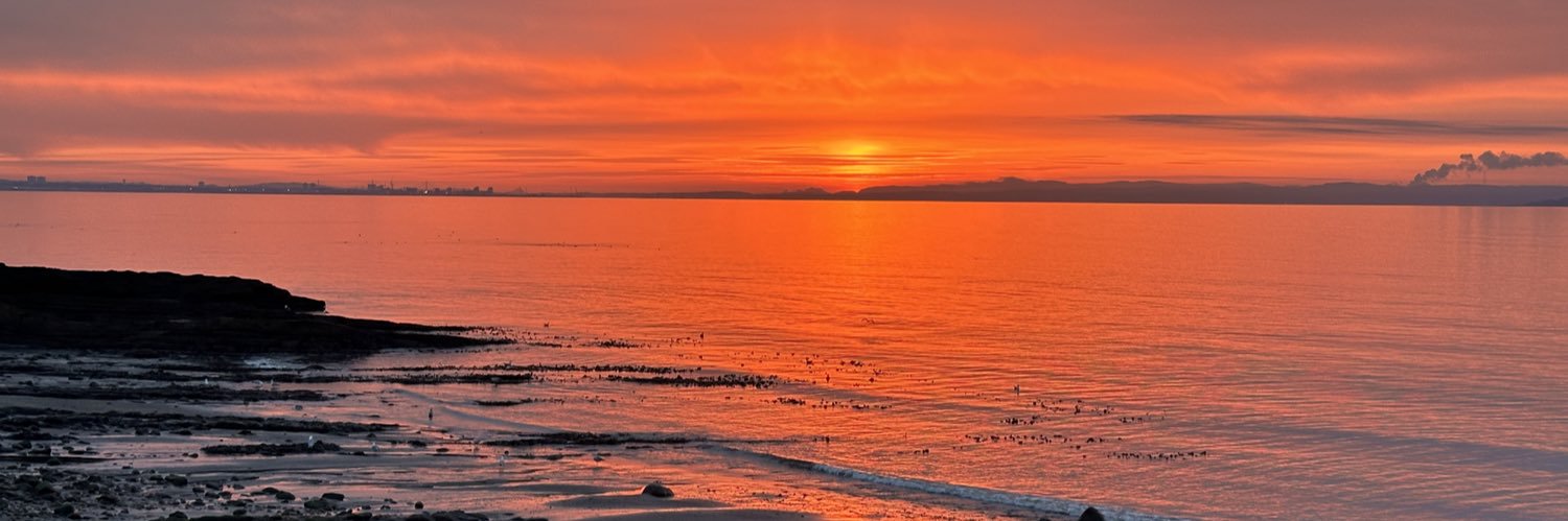 Mark McKenzie banner