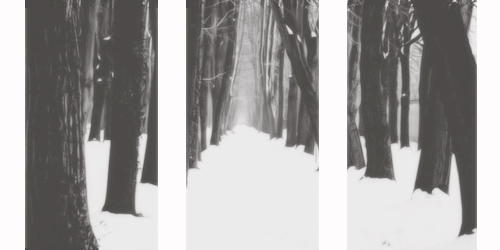 Liz Anderson. banner