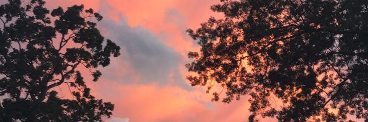 bdoherty125's profile banner image
