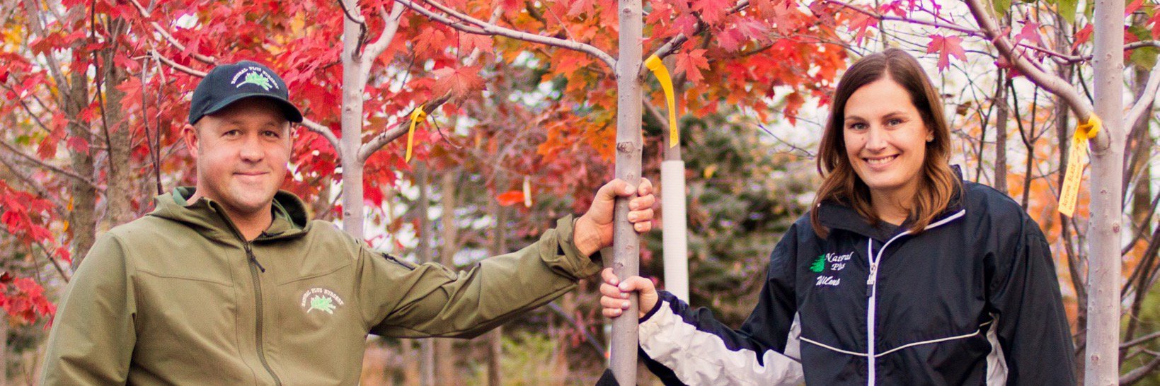 naturalplusm's profile banner image