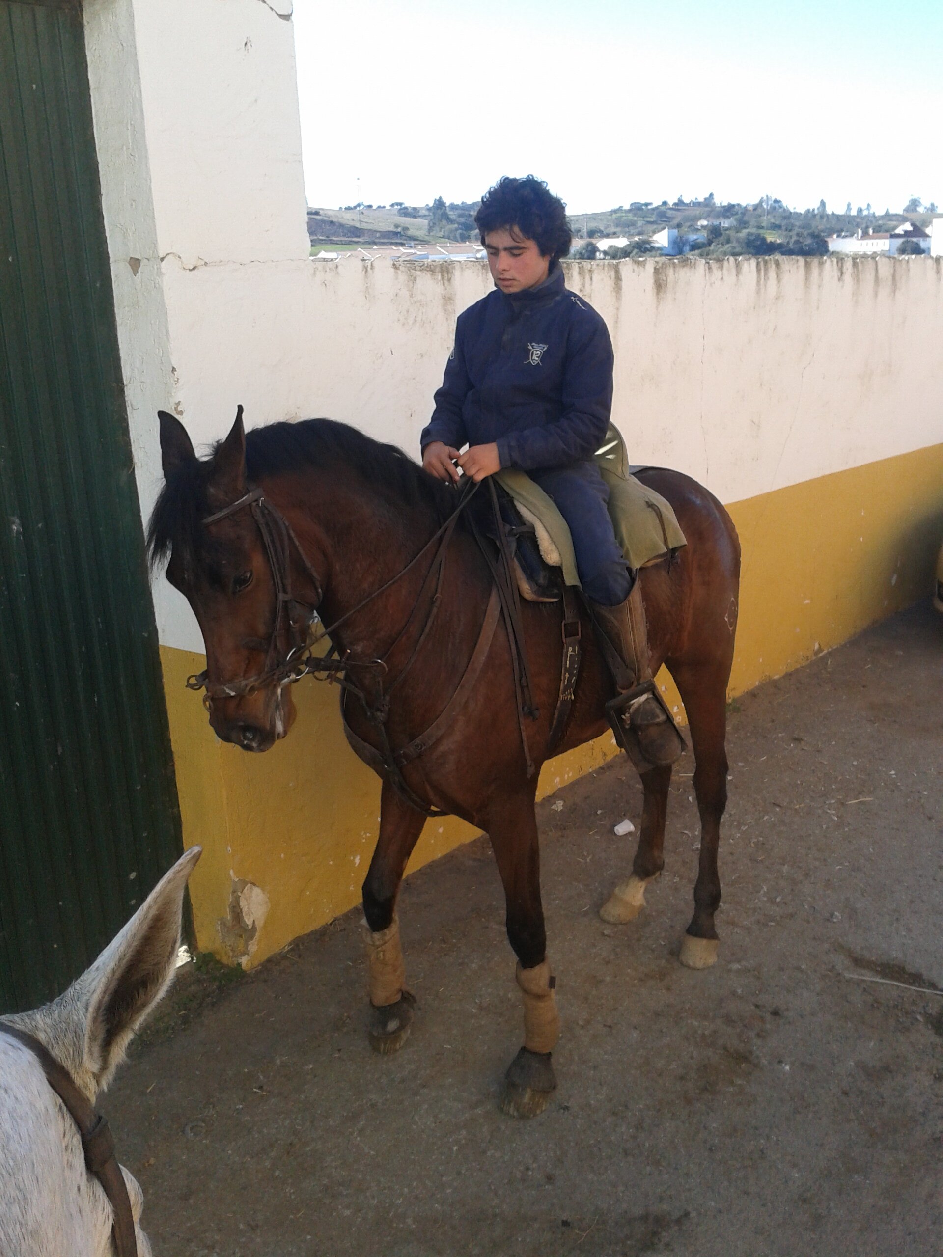 cristian martin sant banner