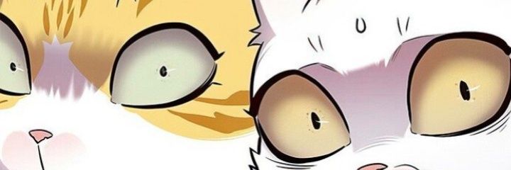 KyarocaCmPassas's profile banner image