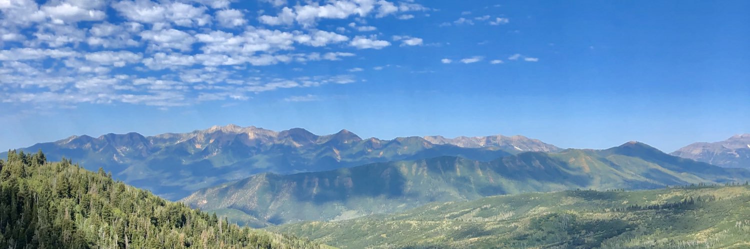 ambercheplick's profile banner image